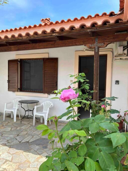 Cozy Studio In Skala, Agistri Appartement Buitenkant foto